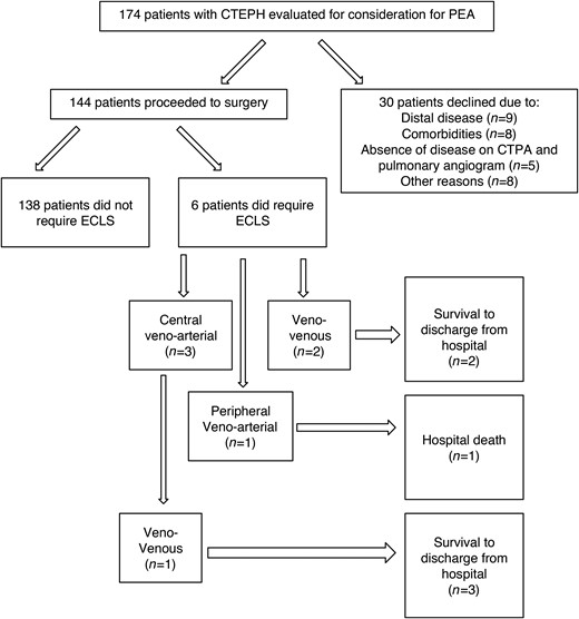 CONSORT diagram showing the flow of patients. CTEPH: chronic thromboembolic pulmonary hypertension; PEA: pulmonary endarterectomy; ECLS: extracorporeal life support.