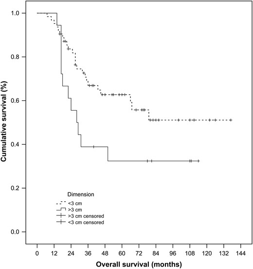 Cumulative overall survival for the lesions of <3 and >3 cm, estimated from the latest RFA procedure, on 61 patients, with Kaplan–Meier method and log-rank test (P = 0.051). RFA: radiofrequency ablation.