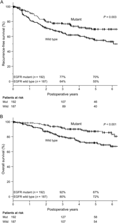 RFS and OS of all patients in relation to EGFR mutation status (n = 379). (A) The 3- and 5-year RFS rates of patients with and without EGFR mutation were 77 and 70% and 64 and 55%, respectively. These survival curves were significantly different (P = 0.003). (B) The 3- and 5-year OS rates of patients with and without EGFR mutation were 92 and 87% and 80 and 72%, respectively. These survival curves were also significantly different (P < 0.001). RFS: recurrence-free survival; OS: overall survival; EGFR: epidermal growth factor receptor.