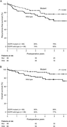 RFS and OS of pair-matched patients in relation to EGFR mutation status (n = 172). (A) The 3- and 5-year RFS rates of patients with and without EGFR mutation were 85 and 78% and 74 and 60%, respectively. These survival curves were significantly different (P = 0.040). (B) The 3- and 5-year OS rates of patients with and without EGFR mutation were 95 and 89% and 82 and 77%, respectively. These survival curves were also significantly different (P = 0.016). RFS: recurrence-free survival; OS: overall survival; EGFR: epidermal growth factor receptor.