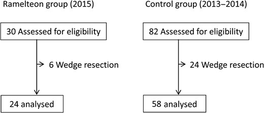 Trial profile. There were 24 patients in the Ramelteon and 58 patients in the control group who met inclusion criteria.