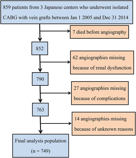 Flow chart detailing patients excluded from angiography and the reasons for exclusion.