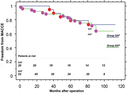 Freedom from major adverse cardiac and cerebrovascular events.