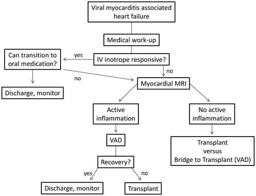 Decision-making algorithm for management of acute viral myocarditis induced heart failure