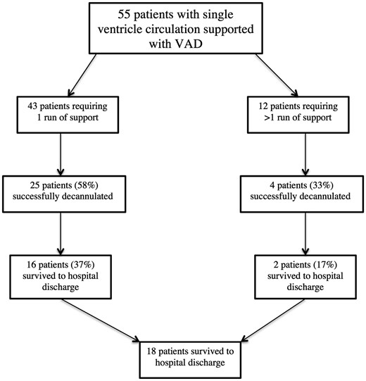 Diagram describing outcomes of patients supported with ventricular assist device (VAD) for post-cardiotomy failure (n = 55); (%) represent proportion within each arm (1 run or >1 run).