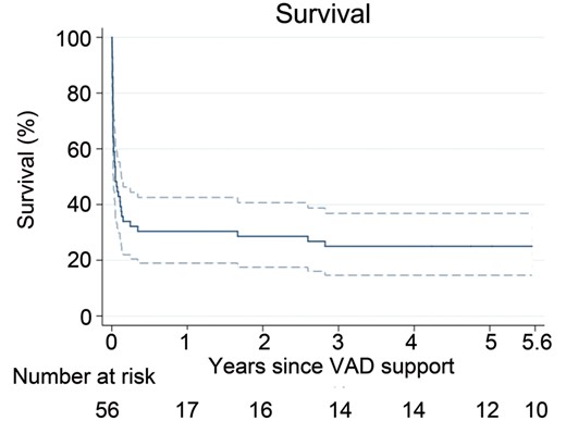 Kaplan–Meier survival curve of long-term survival of single-ventricle patients who received VAD support. (1 patient excluded from the analysis due to unknown follow-up time).