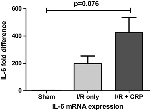 IL-6 mRNA expression showed tendency to increase after CRP injection. However, there was no statistical significance (P = 0.076).