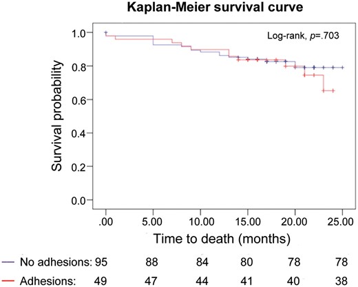 Kaplan–Meier survival curves of patients with and without adhesions when the pleural cavity is first entered.