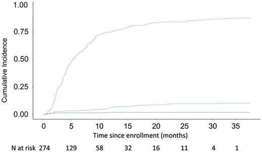 Cumulative incidence graph showing competing risks of events while patients were on the waiting list for coronary artery bypass grafting (CABG) procedures. Red curve: patients who underwent CABG; blue curve: patients who died while waiting for CABG; green curve: patients who did not have the operation or who died in the queue. Numbers at the bottom: number of subjects who are still at risk, i.e. under follow-up and free of any event, at each time point.