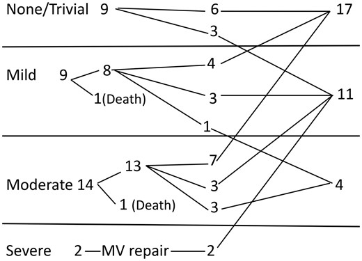 Outcome of mitral regurgitation on follow-up in the less than 1-year age group. MV: mitral valve.