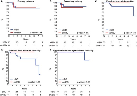 Kaplan–Meier analysis. (A) Primary patency rate. (B) Secondary patency rate. (C) Freedom from reintervention rate. (D) Freedom from all-cause mortality rate. (E) Freedom from aneurysm-related mortality rate.