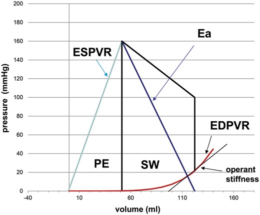 Representative echo-based single-beat PV loop of 1 LV cycle. Ea: effective arterial elastance; EDPVR: end–diastolic pressure–volume relationship; ESPVR: end-systolic pressure–volume relationship; Operant stiffness: tangent to EDPVR at LVEDP; LV: left ventricular; PE: potential energy (triangle area between ESPVR and PV loop); PV: pressure–volume; SW: stroke work.