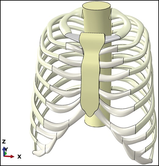 Original non-deformed parametric model (2.4 Haller index).