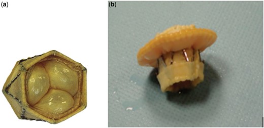 Original (a) and Modified Biopulmonic valve (b).