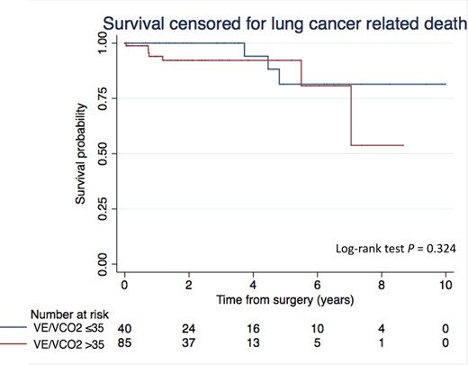 Kaplan–Meier curves of survival censored for lung cancer-related death after anatomical resection by VATS according to the V.E/V.CO2 slope. The log-rank test was used to compare differences in Kaplan–Meier estimates. VATS: video-assisted thoracic surgery; V.E: Minute ventilation (l/min); V.CO2: Carbon dioxide output (l/min).