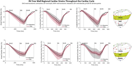 Right ventricular free wall regional epicardial strains. Areal, circumferential and longitudinal cardiac strains for Baseline (black) and tricuspid ring annuloplasty (TRA, red) throughout the cardiac cycle with the reference state at end-diastole. Shadowed areas represent confidence intervals. ED: end-diastole; EIVC: end-isovolumic contraction; ES: end-systole; EIVR: end-isovolumic relaxation (A color version of this figure appears in the online version of this article).