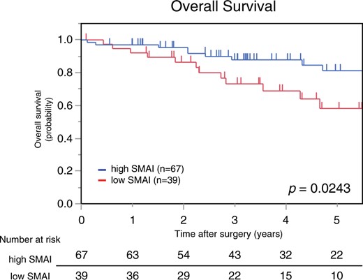 Kaplan–Meier curves for overall survival based on SMAI. The low SMAI group had a significantly shorter overall survival than the high SMAI group. SMAI: skeletal muscle area index.