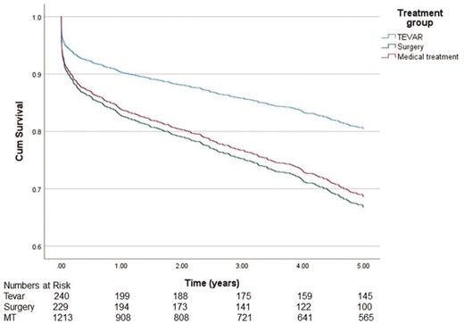 Five-year age-adjusted survival of patients.