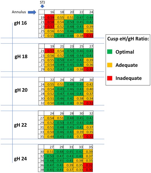 Expected cusps effective height (eH)/geometric height (gH) (RAI—repair aortic index) for each combination of STJ and annulus sizes, per any given geometric height (gH). STJ: sinotubular junction.
