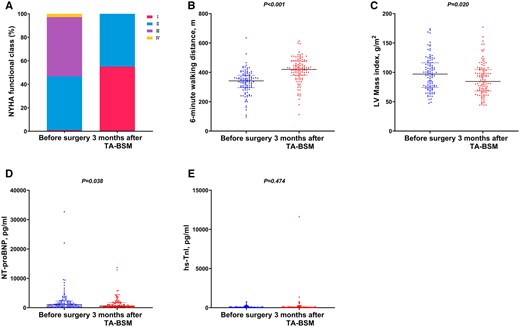 Clinical outcomes at 3 months after TA-BSM. (A) NYHA functional class; (B) 6-min walking distance; (C) LV mass index; (D) NT-proBNP; (E) hs-cTnI. NYHA: New York Heart Association; LV: left ventricular; NT-proBNP: N-terminal pro-B-type natriuretic peptide; hs-cTnI: high-sensitivity cardiac troponin I.