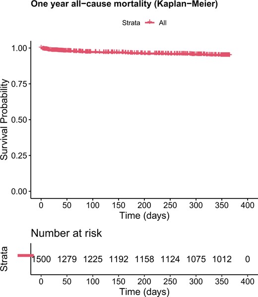 Figure 1: Estimated survival of the all-cause mortality (Kaplan–Meier) after 1 year.