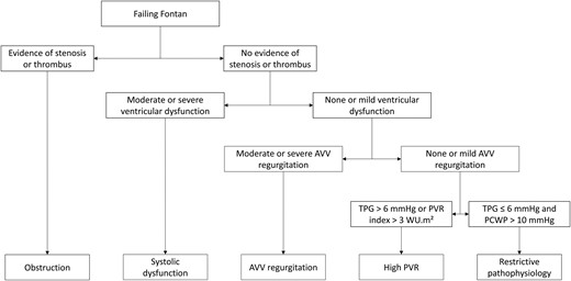 Flowchart for identifying the causes of Fontan failure. As multiple causes of failure can coincide and mutually influence each other, we prioritized the causes based on their assumed order of occurrence. AVV: atrioventricular valve; PCWP: pulmonary capillary wedge pressure; PVR: pulmonary vascular resistance; TPG: transpulmonary gradient.