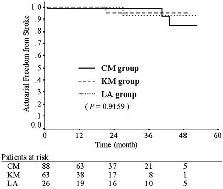 Actuarial freedom from stroke.
