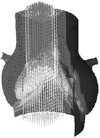 Simulations of the normal valve model over the full cardiac cycle.