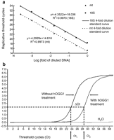 (a) Determination of mtDNA copy number by real-time PCR. Relative mtDNA copy number was determined by the quantitative real-time PCR as described in materials and methods. The efficiency of the real-time PCR amplification was established from 20 ng to 0.4441 pg (4-fold repeated dilutions) cellular DNA from 143B osteosarcoma cells, which were allowed to react with primers specific to mtDNA (ND1 gene) and nDNA (18S rRNA gene), respectively. The correlation coefficient R2 was 0.9973 for nDNA and 0.9973 for mtDNA, respectively. (b) Determination of the degree of oxidative mtDNA damage. The degree of oxidative mtDNA damage is reflected by the abundance of 8-OHdG formation in mtDNA, and it is presented as Ct2–Ct1 (ΔCt). PCR amplification efficiencies of DNA templates containing a single 8-OHdG or two 8-OHdGs at least 13 bp apart were not significantly perturbed (Ct1), while the presence of an abasic site in DNA after treatment of hOGG1 would dramatically reduce the PCR efficiency and thus increase the Ct value (Ct2).
