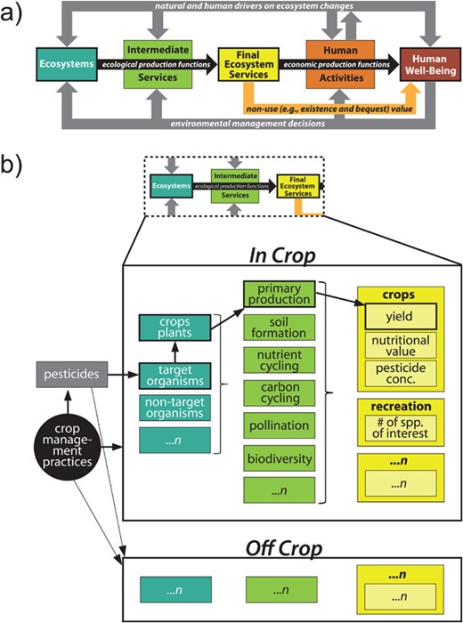 Using ecological production functions to link ecological processes to ...