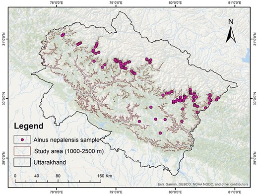 Distribution records of Alnus nepalensis across Uttarakhand.
