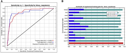 (A) Sensitivity versus 1-specificity. (B) Jackknife variable gains. AUC = area under the curve.