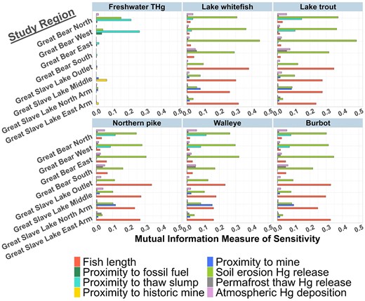Barplots illustrating results of sensitivity analysis used to identify the Hg sources that are most influential on Hg concentrations in freshwater and fish. The mutual information measure of sensitivity is plotted on the x axis, and the eight different model study regions on the y axis. The plots are separated by the six Hg effect variables: the THg concentrations in freshwater and the tissue Hg concentrations in the five fish species. The colored bars represent the eight Hg sources across the Great Bear Subbasin (GBS) and Great Slave Lake (GSL) models. Variables with negligible mutual information values are not adequately described by any of the Hg pathways considered in the model frameworks.