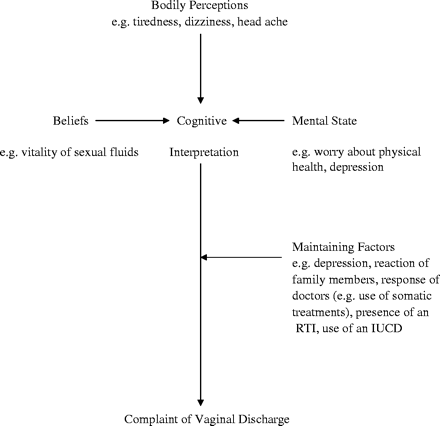 A causal model for the complaint of vaginal discharge