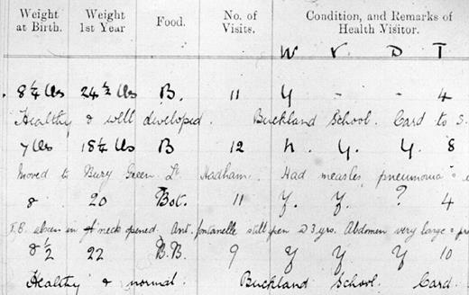 An extract from the Hertfordshire ledgers