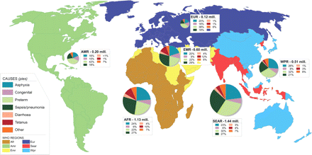 The estimated distribution of causes for 4 million neonatal deaths for the six WHO regions in the year 2000. Size of circle represents number of deaths in each region. Afr = Africa, Amr = Americas, Emr = Eastern Mediterranean, Eur = Europe, Sear = Southeast Asia, and Wpr = Western Pacific