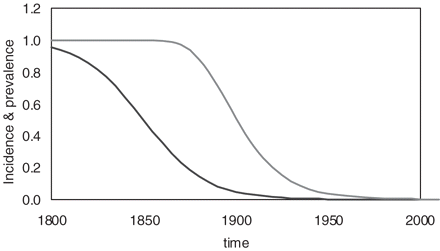 Time-dependent decline in the incidence of H. pylori infection (left curve) and in the prevalence of H. pylori infection among those aged 0–15 years (right curve). The incidence was calculated using Equation (1), while the prevalence was calculated by inserting the time-dependent incidence rates from equation (1) into equation (2)