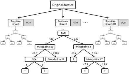 Schematic exemplary illustration of the computation of a RSF using 1000 bootstrap samples. The splitting process was illustrated in one possible decision tree. Numbers on edges represents possible cut points used for splitting the respective parent node into two daughter nodes. Based on the split points (e.g. 30 for BMI) observations are assigned to the left or right daughter node. To determine a split point random node splitting and the log rank statistic is used. Abbreviation: T, terminal node.