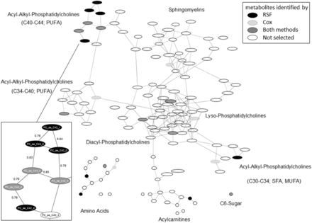 Gaussian graphic model of serum metabolites analysed for associations with type 2 diabetes in EPIC-Potsdam. Each node represents one metabolite and each edge between two nodes represents the partial correlation between two metabolites mutually adjusted for all other metabolites. Metabolites that were identified to be associated with incident T2D by RSF or previously by Floegel et al. with a stepwise Cox regression approach (3) are colour coded. One highly correlated metabolite pattern was resized and filled with metabolite names (nodes) and partial correlation coefficients (edges). Abbreviations: a, acyl; aa, diacyl; ae, acyl-alkyl; Cox, Cox proportional hazards regression, PC, phosphatidylcholine; RSF, Random survival forest.