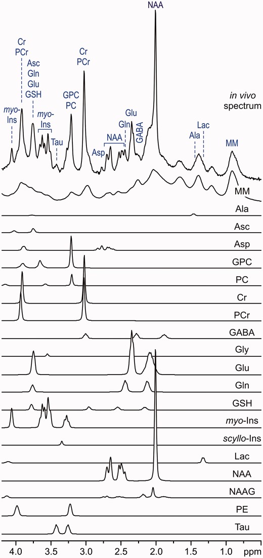 LCModel analysis of an in vivo1H MR spectrum acquired from the human brain at 7 T (STEAM, TE = 6 ms, TR = 5 s, NT = 160, grey-matter-rich occipital cortex). In vivo spectrum can be modelled as a linear combination of brain metabolite spectra from the LCModel basis set: macromolecules (MM), alanine (Ala), ascorbate (Asc), glycerophosphocholine (GPC), phosphocholine (PC), creatine (Cr), phosphocreatine (PCr), γ-aminobutyric acid (GABA), glycine (Gly), glutamate (Glu), glutamine (Gln), glutathione (GSH), myo-inositol (myo-Ins), scyllo-inositol (scyllo-Ins), lactate (Lac), N-acetylaspartate (NAA), N-acetylaspartylglutamate (NAAG), phosphoethanolamine (PE), taurine (Tau). Modified with permission from Tkac et al.25 © 2005 Springer.