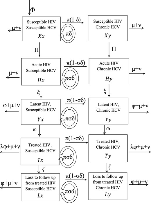 Model schematic showing the HCV and HIV infection states and transitions. Variables are denoted by capital letters for the HIV infection states (X,H,Y,T and L representing susceptible, acute, latent, ART and ART lost to follow-up, respectively) and the lower-case letters for HCV infection states (x, y representing susceptible and chronic infection, respectively). Arrows show possible transitions from one state to the other and are labelled by the flow rates. New PWID enter the population at a rate Φ and leave all compartments due to non-HIV death (rate μ) or cessation of injection (rate ν). Forces of infection for HIV and HCV are Π and π, respectively. For HIV transmission, PWID infected with HIV enter the acute stage (with average duration of 1/ ξ) and then progress to the latent stage. Latently infected HIV individuals experience HIV-related death at a rate ϕ and are also recruited onto anti-retroviral treatment (ART) at a rate ω. For those on ART, HIV-related death is reduced by a factor λ, but some individuals are permanently lost to follow-up from ART at rate ζ. For HCV transmission, a proportion of those infected with HCV spontaneously clear infection and the remaining proportion progress to chronic infection (proportion δ for those uninfected with HIV, reduced by a factor σ for those co-infected with HIV).