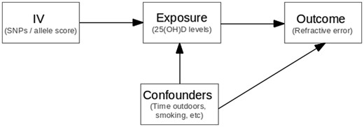 Mendelian randomization assumptions. (i) SNPs (instrumental variable) are robustly associated with 25(OH)D concentrations (exposure variable); (ii) SNPs are not associated with the confounders; (iii) SNPs are associated with refractive error (outcome variable) through their effect on 25(OH)D concentrations.