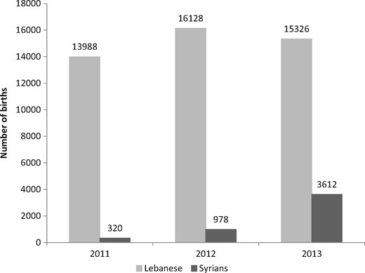 Number of births in NCPNN hospitals by maternal origin.