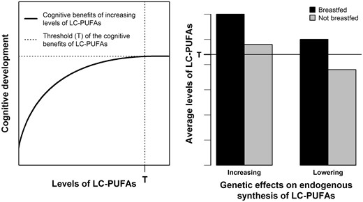 Illustration of the nutritional adequacy hypothesis involving breastfeeding, LC-PUFAs levels and associated genotypes, and cognitive development. Left panel: the benefits of increasing LC-PUFAs on cognitive development are assumed to exist only until a given level of LC-PUFAs (marked by T). Further increasing LC-PUFAs above T brings no further cognitive benefits. Right panel: breastfeeding is assumed to provide LC-PUFA levels above T regardless of genetic predisposition to higher or lower endogenous synthesis of LC-PUFAs. Non-breastfed individuals are assumed to need such genetic load of higher endogenous synthesis to achieve T. LC-PUFAs: long-chain polyunsaturated fatty acids.