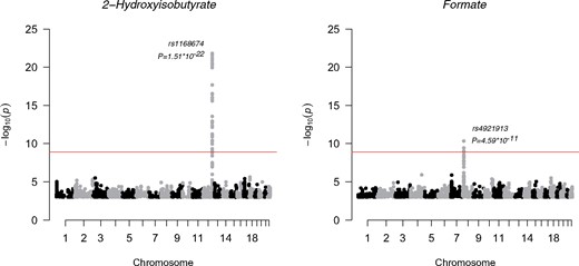 Manhattan plots of the GWAS of formate and 2-hydroxyisobutyrate.The SNP associations across the whole genome are presented. For plotting purposes, the associations with P-value larger than 1*10–3 are not shown. Each dot is a –log10 of P-value of the association between the genetic variant and the metabolite using an additive model. The dots are ordered using the chromosome number and base pair position of the variant in the chromosome. The top signals in these two plots were significant after correcting the genome-wide significance threshold for 40 independent tests (P <1.25*10–9; red line). All metabolite concentrations were first adjusted for sex, and 10 first principal components from genomic data and the resulting residuals were transformed to normal distribution by inverse rank-based normal transformation. NFBC66 was genotyped using Illumina HumanHap 370k array. The genotypes were imputed using the Haplotype Reference Consortium pipeline.27 The results were filtered using minor allele frequency cut-off of 5% or greater and imputation info 0.8 or greater. The analysis software was SNPTEST 2.5.1 using additive model for association testing.28