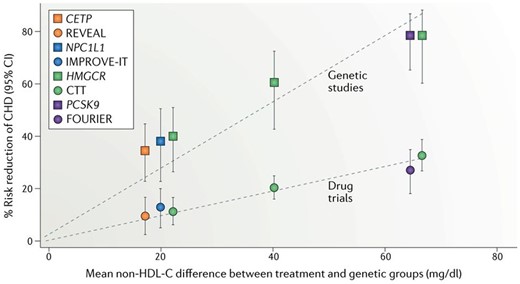 Drug treatment (circles) and genetic proxy (squares) effects on reducing non-HDL-cholesterol levels and the corresponding reduction in risk of coronary heart disease (CHD), from matching drug trials and Mendelian randomization (MR) analyses. As anticipated the trials (lasting ∼5 years) produce about 40% of the risk reduction seen with a lifetime difference in exposure levels, the latter being what MR studies estimate. The CETP inhibitor trial and the MR study are in orange. Note, all of the anticipated effect is seen with reduction in non-HDL-C; the substantial elevation of HDL-C produces no additional benefit. The three values from the Cholesterol Treatment Trialists’ statin collaboration (CTT; green circles) are derived, from left to right, from: five trials of more versus less statin; 17 trials of statin versus placebo with <50 mg/dl average difference in non-HDL-C levels; and four trials of statin versus placebo with >50 mg/dl average difference in non-HDL-C levels. CETP, cholesteryl ester transfer protein; HMGCR, 3-hydroxy-3-methylglutaryl-CoA reductase; NPC1L1, Niemann-Pick C1-like protein 1; PCSK9, proprotein convertase subtilisin/kexin type 9. Reprinted from.74 Reproduced with permission from Springer Nature, USA.