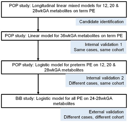 Schematic outline for identification and validation of predictive metabolites. PE, pre-eclampsia; wkGA, weeks of gestational age; POP, Pregnancy Outcome Prediction; BiB, Born in Bradford.