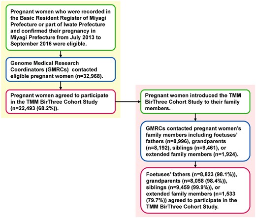Flow chart of the Tohoku Medical Megabank Project Birth and Three-Generation Cohort Study (TMM BirThree Cohort Study) participants. The flow chart shows the inclusion criteria, inclusion route and response rate to invitations to potential participants.