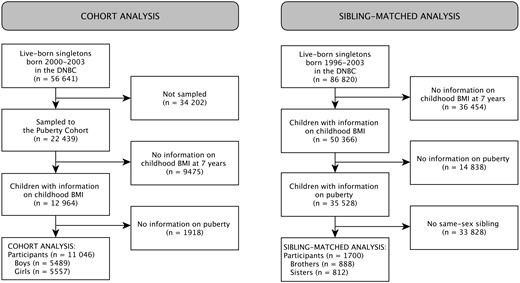 Flow chart of children included in the cohort analysis and the sibling-matched analysis. BMI, body mass index; DNBC, Danish National Birth Cohort; FU, follow-up.