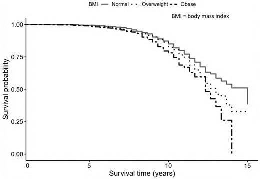 Survival plot representing the risk of dementia by body-weight groups.
